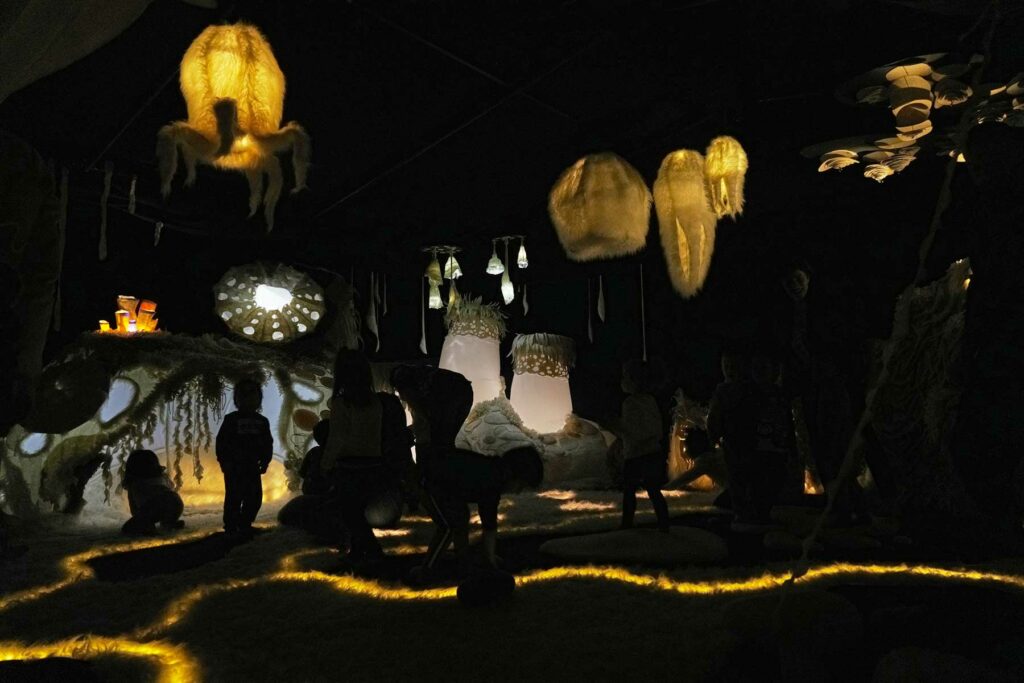 Visuel spectacle "Emouvoir"