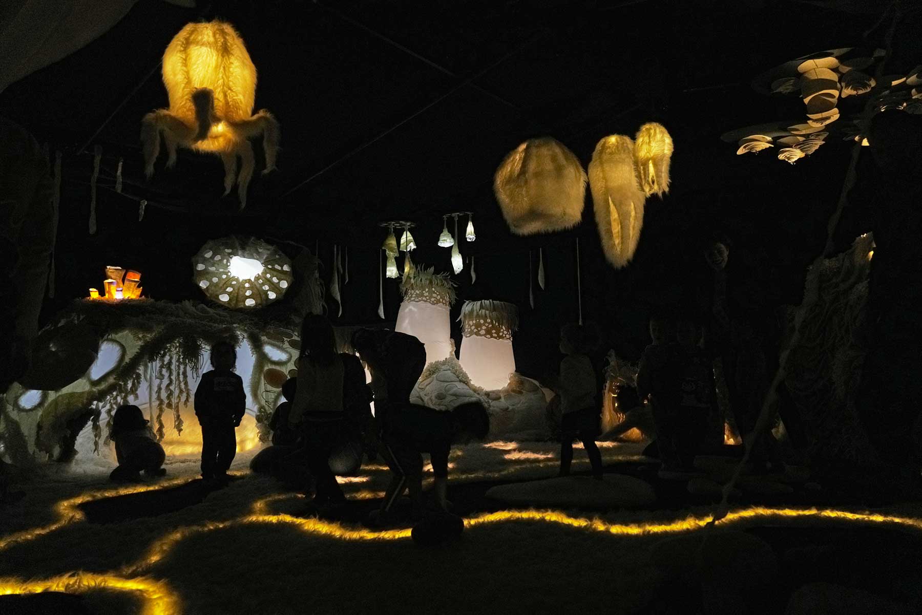 Visuel spectacle "Emouvoir"