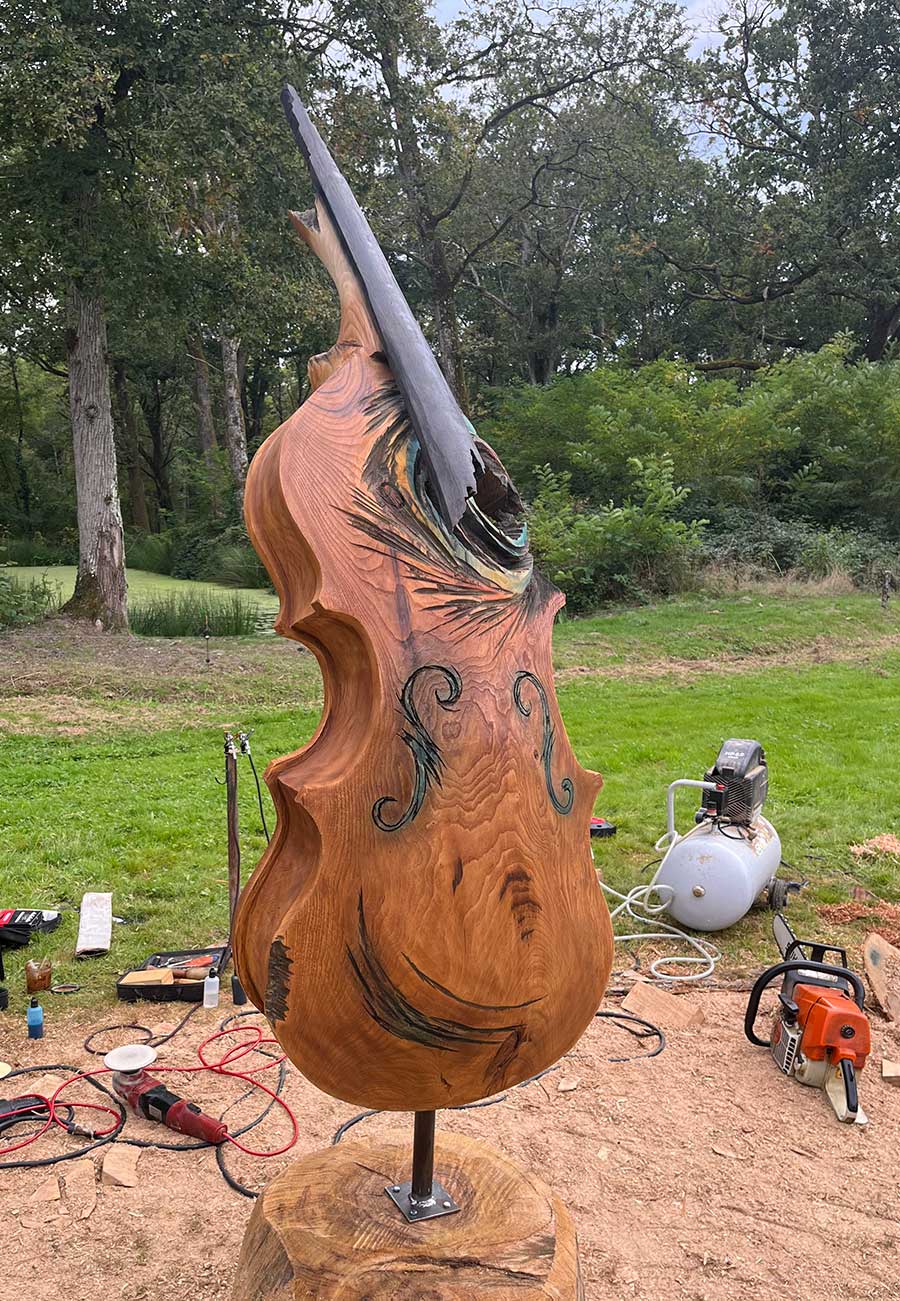 visuel oeuvre d'Alexandre Berlioz