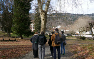 L'équipe au pied d'un grand platene dans le parc des Thermes d'Allevard