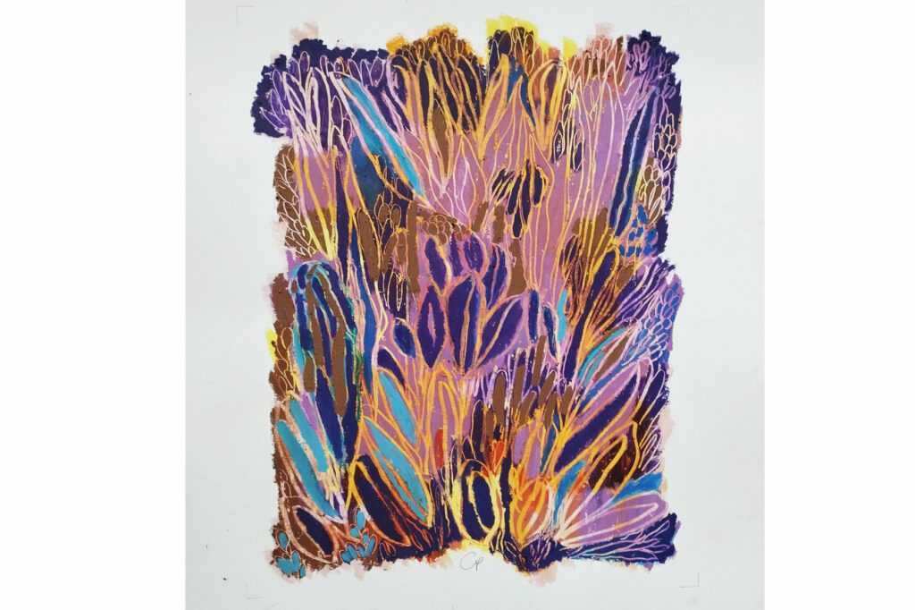 Ce visuel est l'un des tableaux de l'exposition. Il montre un "bouquet" d'algues ajourées comme de la dentelle et très colorées.