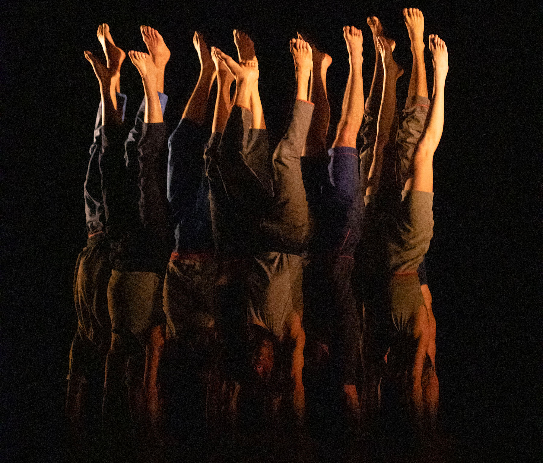 Visuel du spectacle "Le complexe de l'autruche qui présente 9 artistes en équilibre sur les mains, avec la lumière rasante qui éclaire ce qui ressemble à une forêt de jambes.